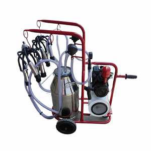 Ordeñadora de vaca - 2 Puestos