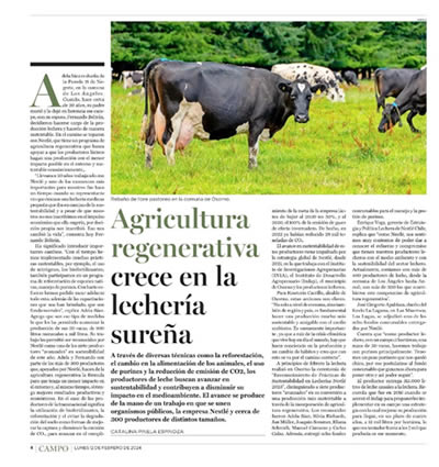 Agricultores del Prodesal San Esteban reciben incentivos para mejorar sus emprendimientos 2 image 2