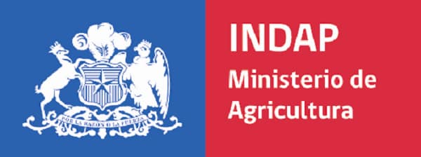 logo_indap