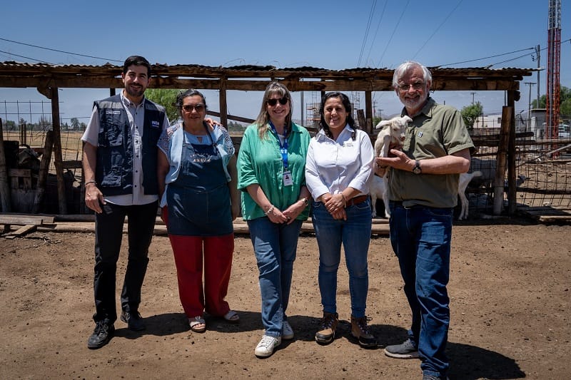 Productores caprinos de Tiltil podrán elaborar quesos de cabra con resolución sanitaria gracias a cocina comunitaria 1 image 1