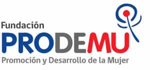 logo prodelemu
